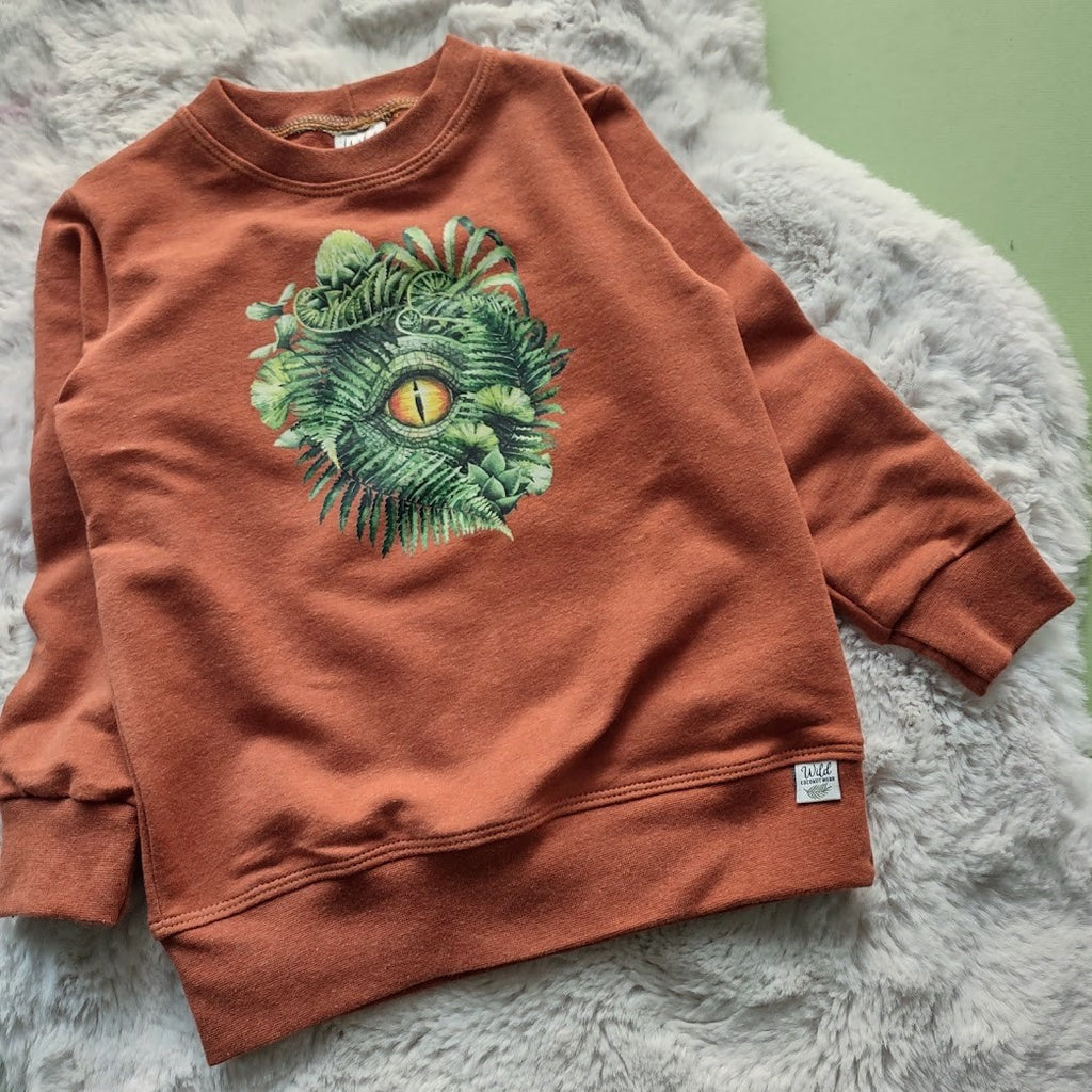 Cotton French Terry Crew Neck Pullover- Dino Eye- Size 3