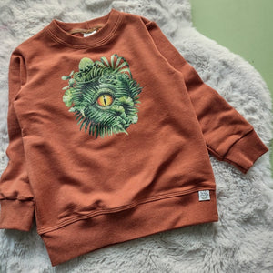 Cotton French Terry Crew Neck Pullover- Dino Eye- Size 3